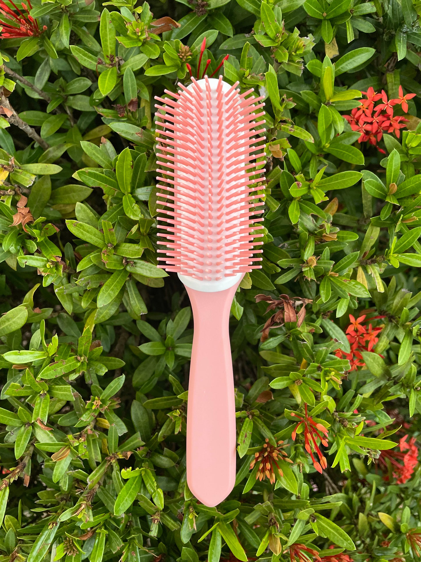 Ashley Beth Defining Brush